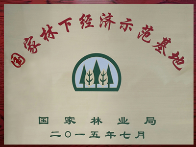 国家级林下经济示范基地