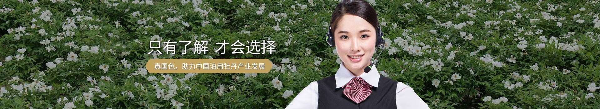 牡丹籽油公司
