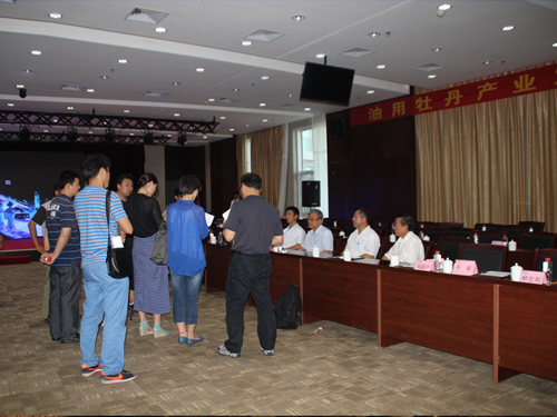 全国油用牡丹座谈会期间中央电视台采访董事长